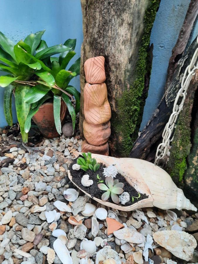 Casa No Paraiso Do Capri Sao Francisco do Sul Eksteriør bilde